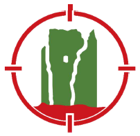 SSD Torre Baccelli Logo